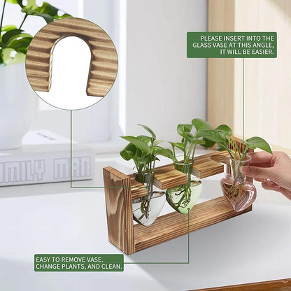 Plant Terrarium Propagation Stations Hydroponics Home Garden Decoration Gift for Women with Wooden Stand Heart Shaped Colored Glass Vase