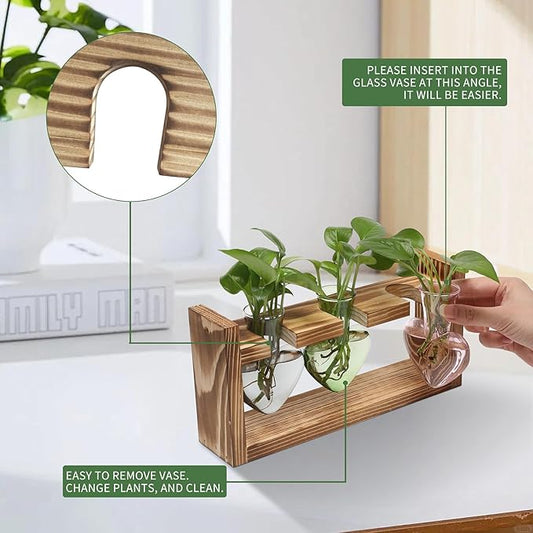 Plant Terrarium Propagation Stations Hydroponics Home Garden Decoration Gift for Women with Wooden Stand Heart Shaped Colored Glass Vase