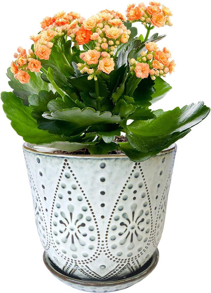 Gepege 6 Inch Beaded Ceramic Planter Set of 2 with Drainage Hole and Saucer for Plants, Indoor-Outdoor Large Round Succulent Orchid Flower Pot (Smoked Gray, Inner-pots not Larger Than 5 Inch)