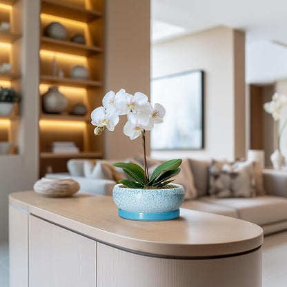 Bonsai Pots Small - 6 Inch Succulent Pots with Drainage Hole and Saucer, Succulent Planters for Indoor Outdoor, Shallow Plant Pot, Round Bonsai Planter, Office Decor, Plant Lover Gifts, Blue