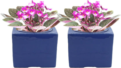 2-Pack Ceramic African Violet Self Watering Pot 6 Inch Square Pot 3.5 Inch Innter Pot Easy Fill Water Reservoir Blue