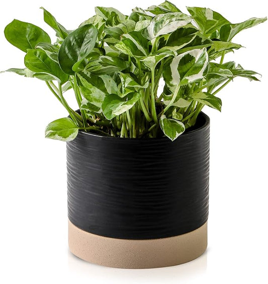 Nihow Ceramic Plant Pot: 6 Inch Planter with Drainage Hole & Saucer for Indoor & Outdoor Plants - Cylinder Round Flower Pot for Succulent/Herbs/Violets - Black & Brown