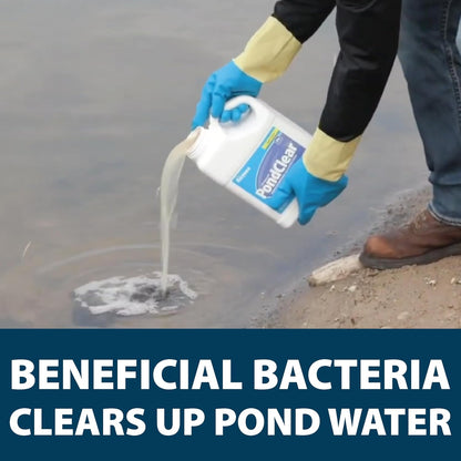 Airmax PondClear Liquid Bacteria for Lakes, Ponds & Water Garden Treatments, Natural Bio Clarifier & Cleaner for Crystal Clear Water, Remove Nutrients & Noxious Odor, Fish, Pet & Plant Safe, 1 Gallon