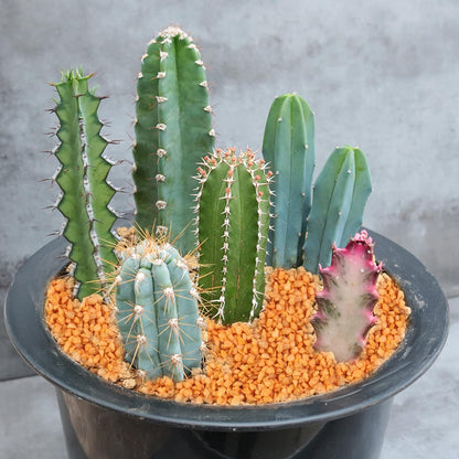 HappyFiller Fall Decoration 14 OZ Orange 2-5mm Gravels Decorative Succulent Soil Cover Small Stones Topper Dressing,Bonsai Fairy Garden,Harvest Autumn Decor Pebbles