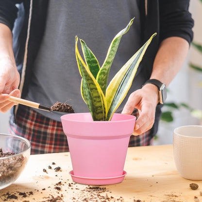 4 inch Small Plastic Nursery Pots,16 Pack Plant Pots for Indoor Outdoor Plants, Flower Pots with Drainage Holes and Saucers, Decorative Seeding Starter Planters for House Plants, Colorful