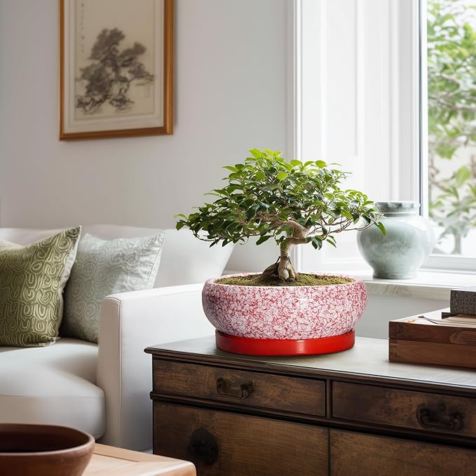 Bonsai Pots 10 Inch - Ceramic Succulent Planters for Indoor Plants Outdoor, Succulent Pots with Drainage Hole and Tray, Round Shallow Planter, Bonsai Planter, Home Decor, Gardening Gift, Red