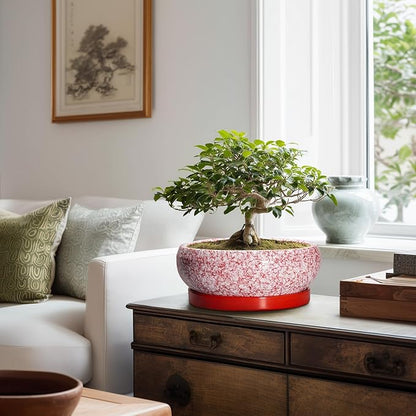 Bonsai Pots 10 Inch - Ceramic Succulent Planters for Indoor Plants Outdoor, Succulent Pots with Drainage Hole and Tray, Round Shallow Planter, Bonsai Planter, Home Decor, Gardening Gift, Red
