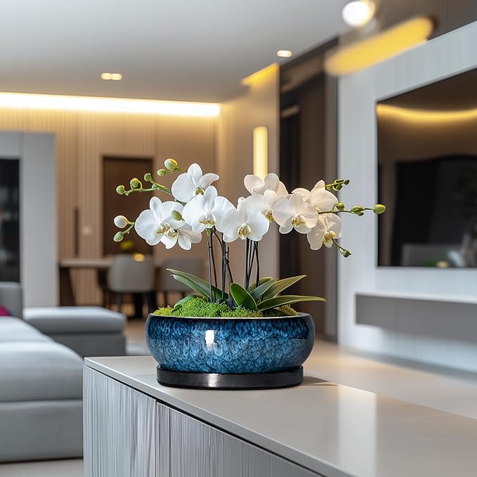 Bonsai Tree Pots 10 Inch - Ceramic Succulent Pot with Drainage Hole and Saucer, Bonsai Pots for Indoor Outdoor, Round Succulent Planter, Shallow Planter, Desk Decor, Plant Lover Gifts, Blue