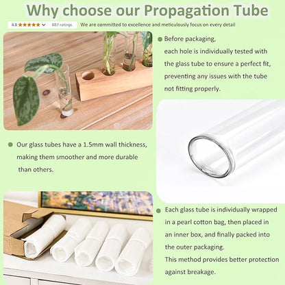 KAXYEW Plant Propagation Station, Plants Propagation Tubes, Gifts for Plant Lovers, Plants Cutting Holder Test Tube Vase Office Desk Garden Décor Gift for Her Mom Women Hydroponic Vase New Gift Box