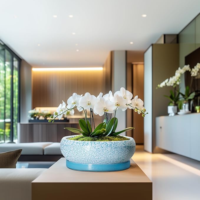 Bonsai Pots - 13 Inch Ceramic Succulent Pots with Drainage Hole and Tray, Large Succulent Planter Indoor Outdoor, Round Planter, Shallow Plant Pot, House Decor, Gifts for Plant Lover, Blue