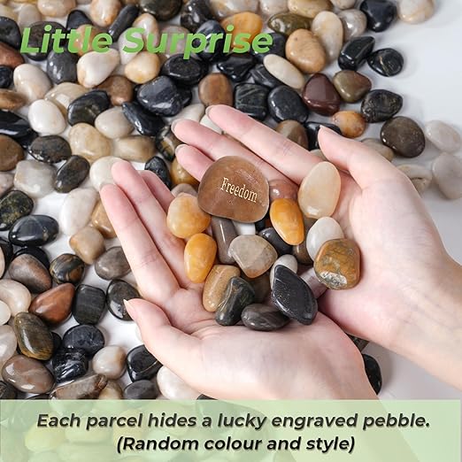 SIDONG 5 LB Mixed River Rocks, 0.3-0.5 Inches High Polished Pebbles for Indoor Plants, Aquarium Rocks Used in Fish Tank, Decorative Stones for Plants, Vases, Home Décor, Crafting, Garden Landscaping