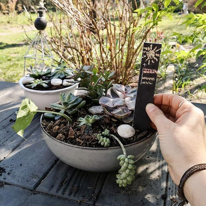 Navaris Slate Garden Labels - 10 Natural Slate Plant Labels for Outdoor Plants, Plant Name Sticks, Herb Labels for Garden - Greenhouse Accessories (Pack of 2)