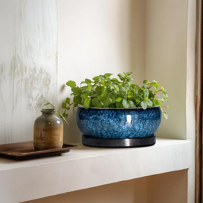 Bonsai Pots 8 Inch - Ceramic Succulent Planter for Indoor Outdoor, Round Bonsai Planter with Drainage Hole and Saucer, Shallow Ceramic Planters Bowl, Patio Decor, Housewarming Gift, Blue