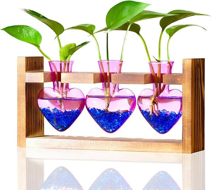 Nacome Plant Terrarium Propagation Stations: Birthday Gifts for Plant Lovers Women Mom Wife - Wooden Stand Tabletop Planter 3 Bulb Glass Vase Heart Shaped for Hydroponics Indoor Home(Purple)