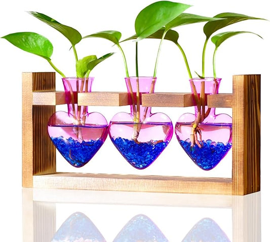 Nacome Plant Terrarium Propagation Stations: Birthday Gifts for Plant Lovers Women Mom Wife - Wooden Stand Tabletop Planter 3 Bulb Glass Vase Heart Shaped for Hydroponics Indoor Home(Purple)