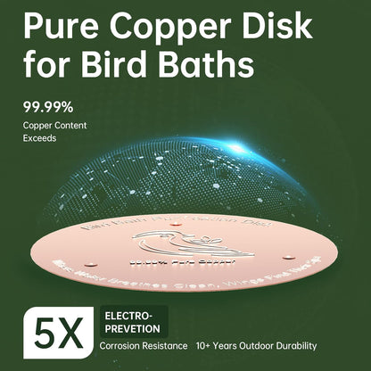 2 Pack Bird Bath Copper Disk, Premium 0.6mm Sturdy 99.99% Pure Copper Disk for Bird Baths,Triple-Point Support Ensures Clean Water Year-Round, Compatible with All Outdoor Birdbath Bowls