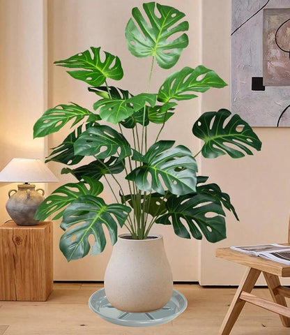 6 Pack of Plant Saucer 12 inch, Plant Trays for Indoors No Holes, Plant Drip Trays for Indoors Outdoor, Plant Water Tray for Planters, Gray