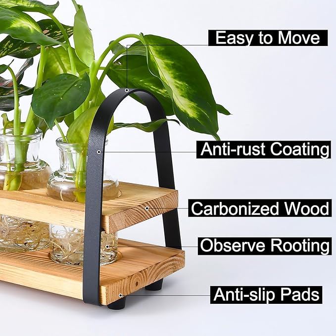 Plant Propagation Station with Wood Stand, Desktop Terrarium for Hydroponic, Flower Vase for Home, Kitchen, Office Decor, Plant Lover Gifts