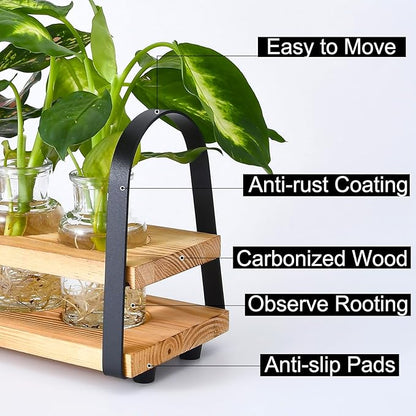Plant Propagation Station with Wood Stand, Desktop Terrarium for Hydroponic, Flower Vase for Home, Kitchen, Office Decor, Plant Lover Gifts