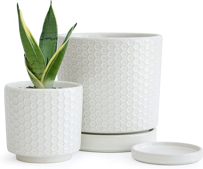 D'vine Dev Set of 2 Modern Matte White Honeycomb Embossed Ceramic Planter Pots with Saucer and Drainage Hole, 4 Inch & 6 Inch, 99-C-1-N