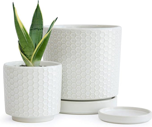 D'vine Dev Set of 2 Modern Matte White Honeycomb Embossed Ceramic Planter Pots with Saucer and Drainage Hole, 4 Inch & 6 Inch, 99-C-1-N