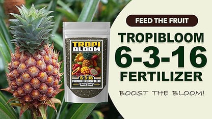 Fertilizer Commercial Grade | TropiBloom 6-3-16 | 3 Pounds | Custom Professional Mix Blend | High-Potassium | Tropical Fruit Trees | Micronutrients with Chelated Iron | Support Yield Flavor Structure