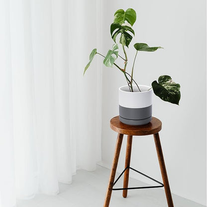 D'vine Dev Set of 2 Plants Pots, 6.5 Inch Ceramic Planter Pot for Plants with Drainage Hole and Saucer, White/Speckled Grey, 94-V-C-6