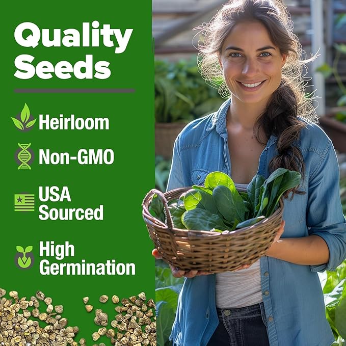 HOME GROWN 𝗨𝗦𝗔 𝗣𝗥𝗘𝗠𝗜𝗨𝗠 Bloomsdale Spinach Seeds Pack – 353 Heirloom 𝗡𝗢𝗡-𝗚𝗠𝗢 Seeds – High Germination Spinach for Indoor, Outdoor, Hydroponic Planting & Home Gardens (Spinacia oleracea)