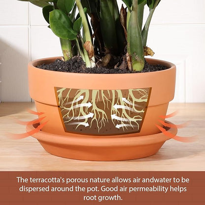 INGOFIN 8 Inch Terracotta Shallow Pots Set with Saucer - Ceramic Clay Pots with Drainage Hole, Terra Cotta Pot for Plants for Indoor Outdoor Plants, Set of 2