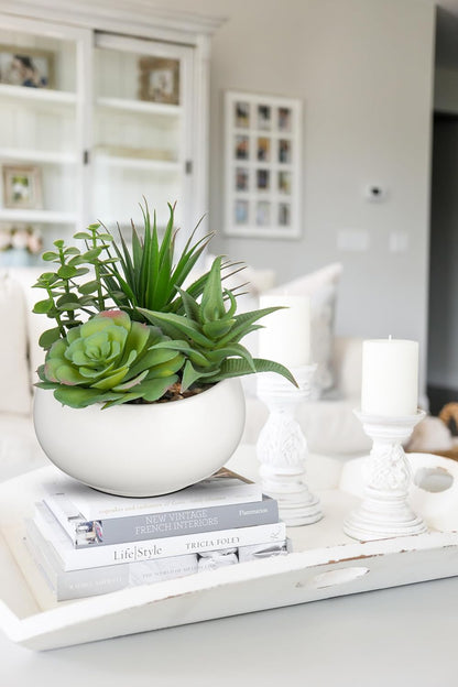 Fake Plants Artificial Succulents in Pots Faux Succulent Arrangement Potted Plant with White Ceramic Pot for Home Decor Modern Office Desk Bathroom Shelf Living Room Indoor Decoration