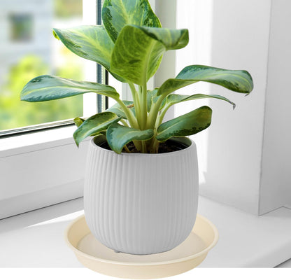 6 Pack of 12 inch Plant Saucer, Heavy Duty Plastic Plant Saucer 12" Round, Durable Plant Tray for Pots, Plant Saucers for Indoors, Plant Trays for Planter (12", Beige)