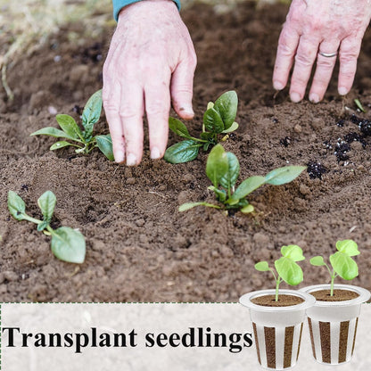 80 Pcs Hydroponic Seeds Grow Sponges Pods Kit,Indoor Hydroponics Growing System Root Plant Basket,Hydroponic Pods Cups Pot and Grow Sponges for Garden Indoor Herb Hydroponic Growing System