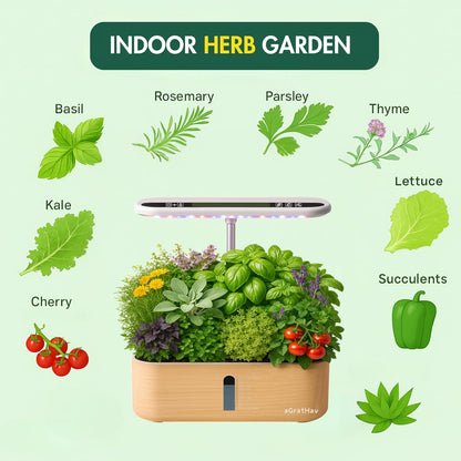 Hydroponics Growing System Kit, Indoor Herb Garden, 14 Pods Upgraded LCD Display, LED Grow Light Quiet Smart Water Pump Automatic Timer, Hydroponic Planter for Home Kitchen Office