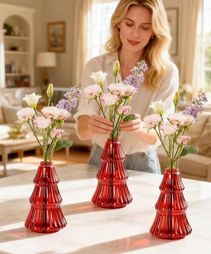 Nacome Christmas Tree Propagation Stations: 3PCS Plant Terrarium Glass Vases for Home Office Decor, for Plant Lovers Women Mom (Red)