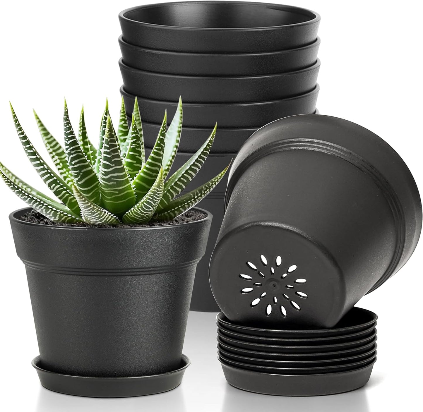 T4U 5 Inch Plant Pot 8-Pack, Plastic Pots with Drainage Hole and Saucer, Decorative Flower Pots Bulk for African Violet, Snake Plant, Succulent and All House Plants Indoor (8pcs 5" Pots, Black)