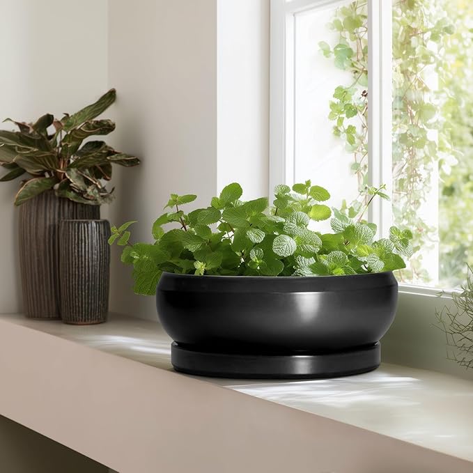 Bonsai Pots 13 Inch - Large Ceramic Succulent Pots with Drainage Hole and Tray, Round Planter Bowl Indoor Outdoor, Modern Shallow Planters, Home Living Room Decor, Gardening Gifts, Black