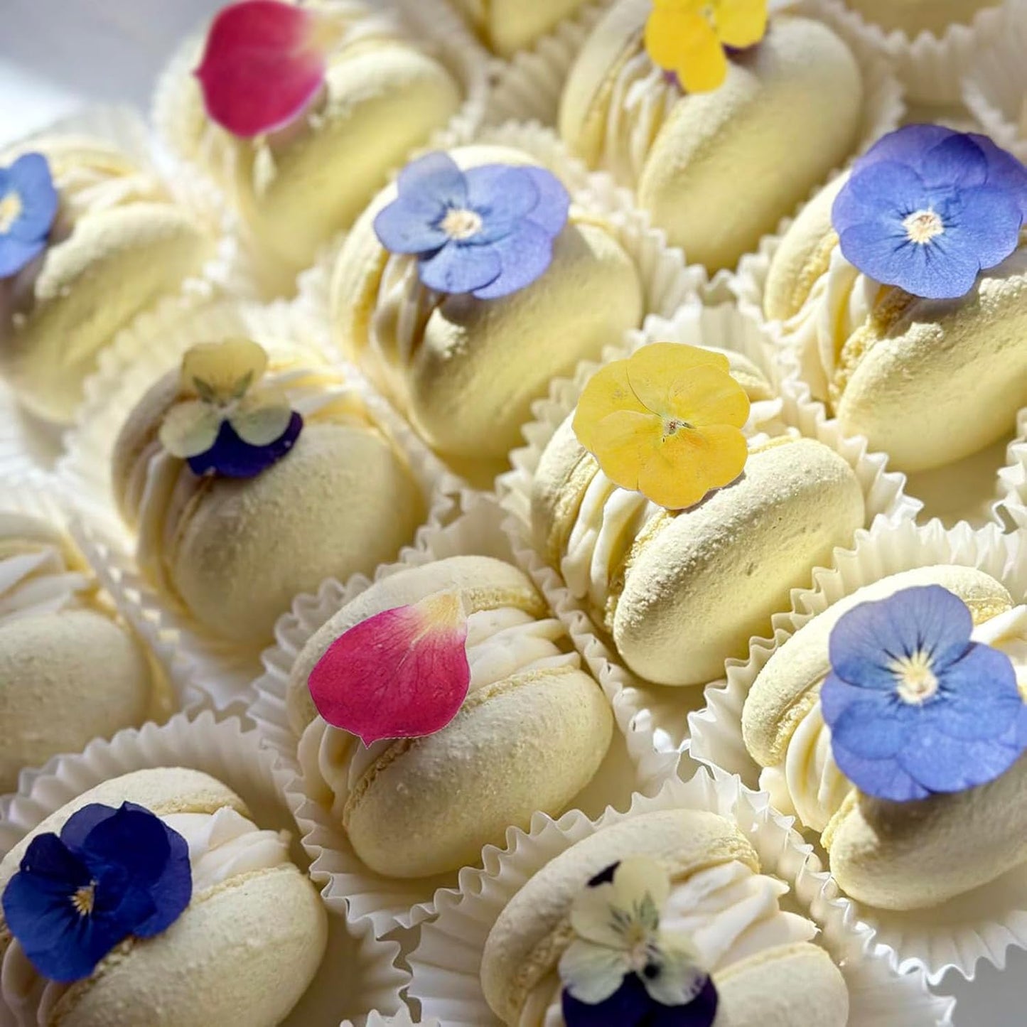 48 Pcs Mix Dried Pansy Flowers for Cake Topper Decoration, AHTONG Dried Pressed Flowers for Resin Jewelry Making Soap and Cupcake Decor(Pansy)