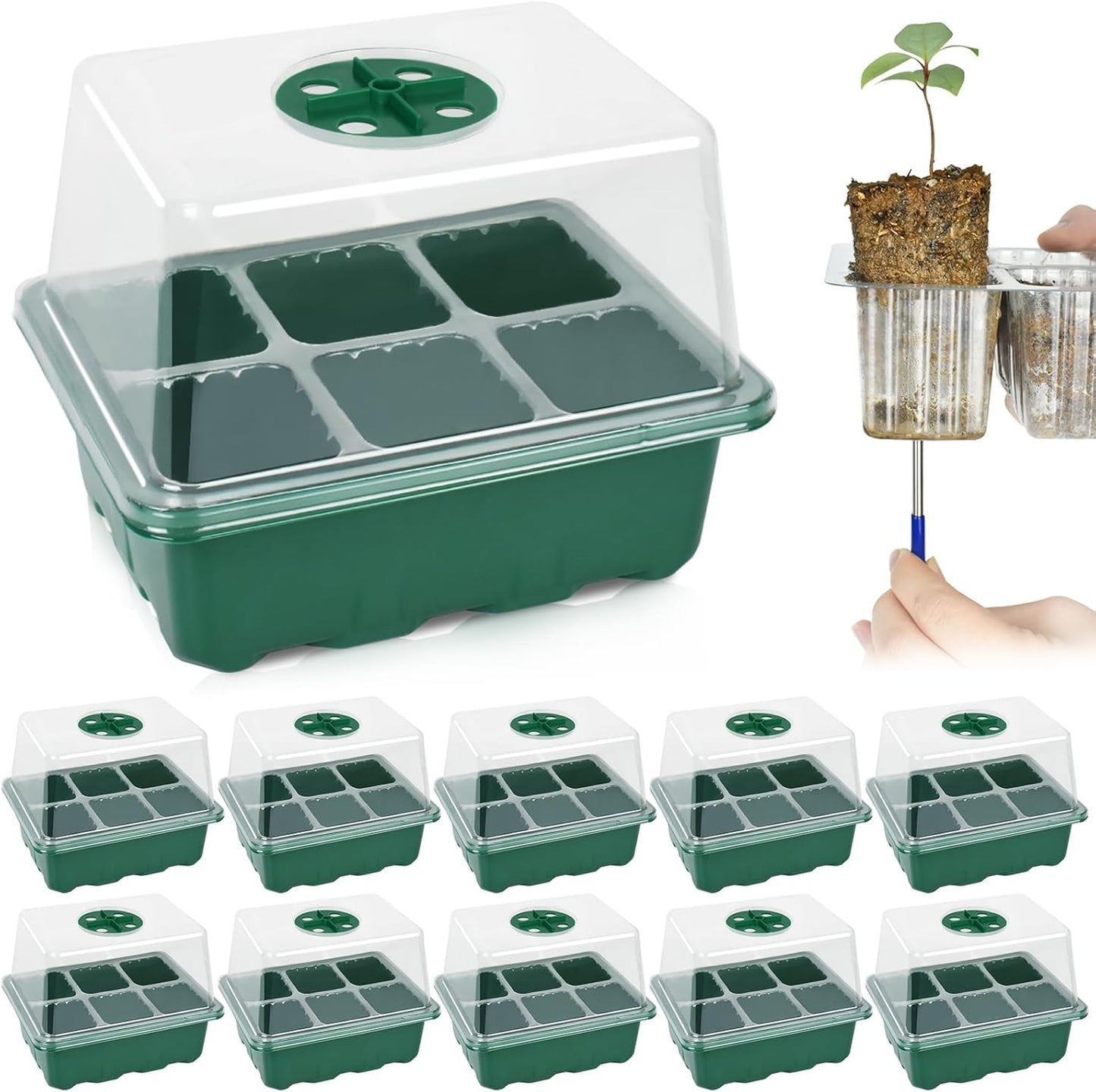 Artcome 10-Pack Seed Starter Tray - 6 Cells Each with Push-Up Ejector - Seed Starter Kit for Rapid Growth and Healthy Seedlings at Home - 30 Cells in Total