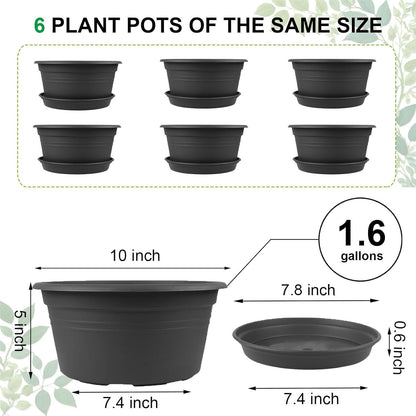 6 Pack 10 inch Plant Pot, Round Plastic Plant Pots, Outdoor Pots for Plants with Drainage Hole & Tray Saucer, Decoration Flower Pots for Indoor Plants Home Garden Outdoor Planters (Grey)