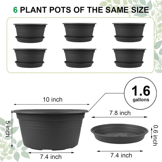 6 Pack 10 inch Plant Pot, Round Plastic Plant Pots, Outdoor Pots for Plants with Drainage Hole & Tray Saucer, Decoration Flower Pots for Indoor Plants Home Garden Outdoor Planters (Grey)