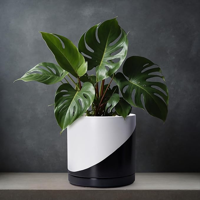 D'vine Dev 12 Inch Ceramic Planter Pot with Drainage Hole and Saucer, Indoor Cylinder Round Planter Pot, Oblique Monochrome Black and White, 94-O-F-K
