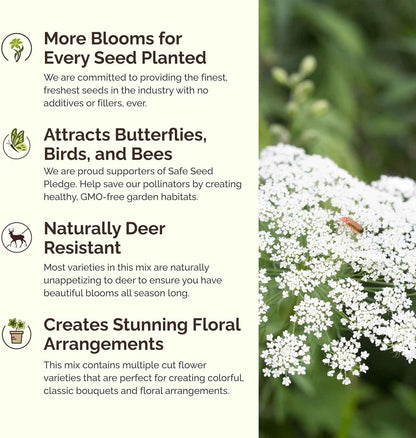 Eden Brothers Moon Garden Flower Mixed Seeds for Planting, 1 lb, 480,000+ Seeds with Cosmos Purity, Bishop's Flower | Attracts Pollinators, Plant in Spring or Fall, Zones 3, 4, 5, 6, 7, 8, 9, 10