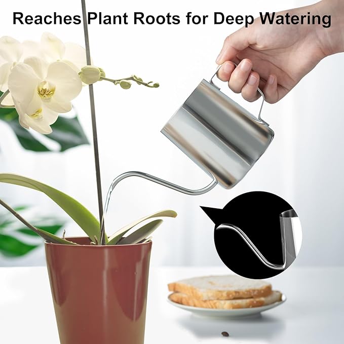 Small Watering Can for Indoor Plants, Mini Indoor Watering Can with Long Spout and Handle 12 Oz / 350 ml Rust-Proof 304 Stainless Steel Material