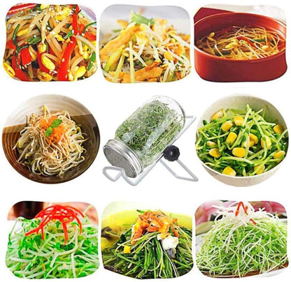 Sprouting Jar Kit, Wide Mouth Quart Mason Jars with Screen Sprout Lids & Stand, Seeds Germination Growing Kit, Seed Sprouter Set for Growing Organic Broccoli Alfalfa Mung Microgreens Bean (1Pack)