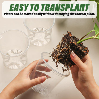 3.5" Clear Seeding Pots 20 Pack Round for Seeds Starter Pot, Seeds Germination Transparent Nursery Pots with Drainage Holes (Clear,3.5Inch,20PCS)