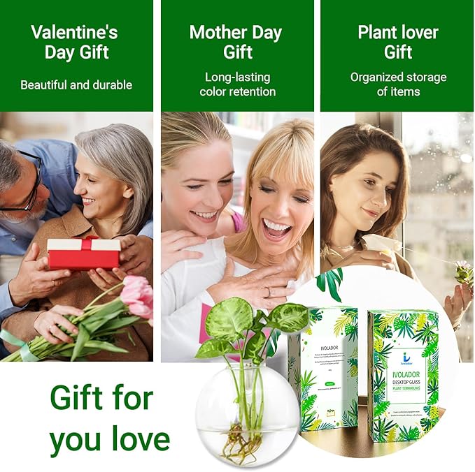 Propagation Station, Plants Terrarium, Plants Lover Gifts for Women,Plant Cutting Holder Home décor,Gifts for Women,House Warming New Home-4 Moon Shape