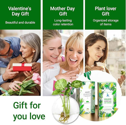 Propagation Station, Plants Terrarium, Plants Lover Gifts for Women,Plant Cutting Holder Home décor,Gifts for Women,House Warming New Home-4 Moon Shape