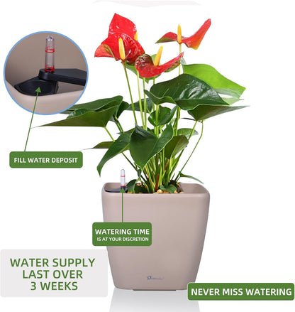 Dexceder 9x8 Self Watering Planter Indoor Outdoor, Inner Mat Design, Thickened Table Flower Plant Pot with Water Level Indicator (Taupe Matte)