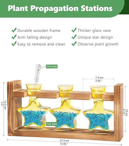 Nacome Star Glass Propagation Stations: Plant Terrarium with Wooden Stand Vase for Home Office Desk Decor, Unique Gifts for Plant Lovers Women Mom (Yellow)