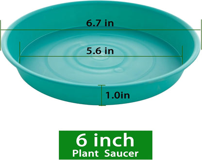 6 Pack of 6 inch Plant Saucer Drainage Tray, 4 5 7 8 10 12 13 15 17 19 inch Plastic Plant Water Tray, Flower Saucers for Indoors, Plant Dishes for Pots Base (6 inch, Teal)